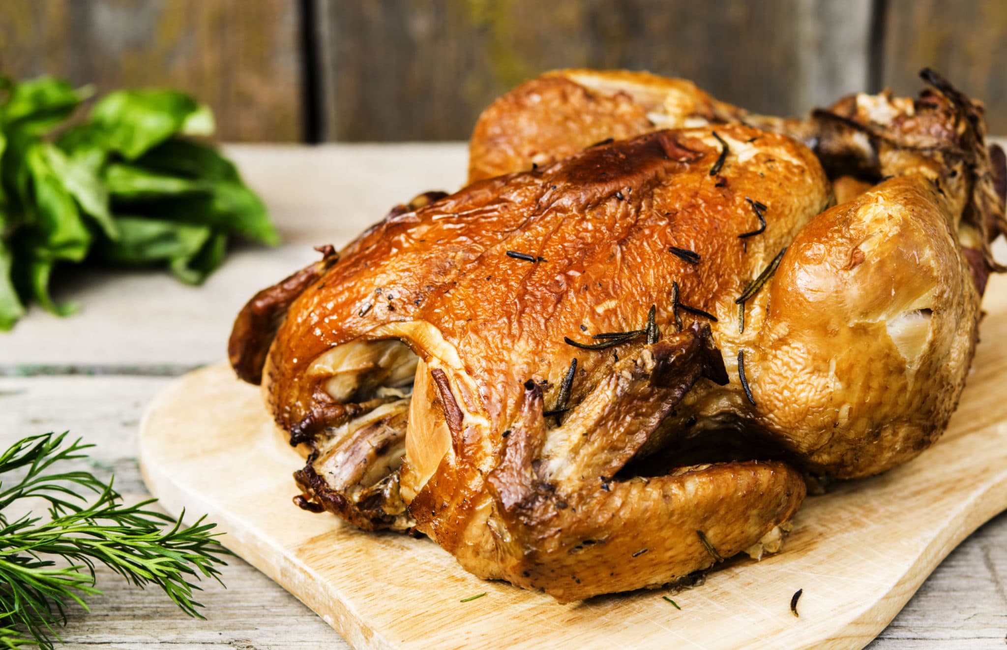 Recipes - Chicken & Fowl | Page 3| Bradley Smoker