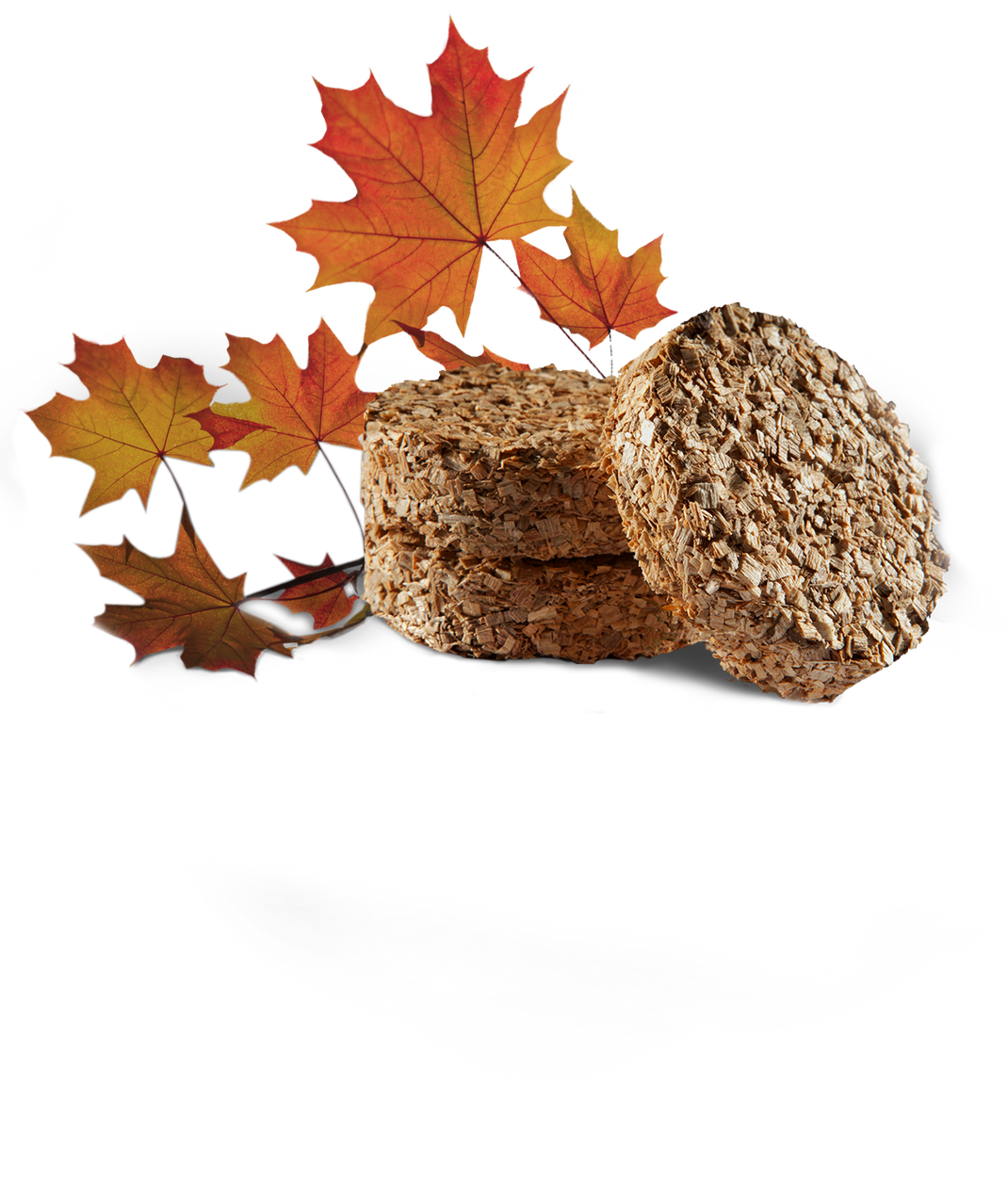 Smoker Maple Wood Bisquettes Bradley Smoker