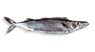 Demerara Cured Smoked Gemfish