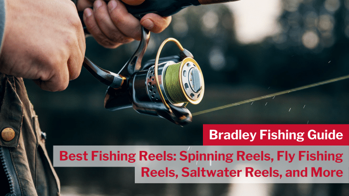 Best Spinning Reels 2023 Best Fishing Reels, 43% OFF